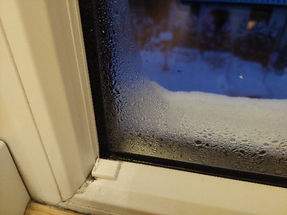 Oznaki wilgoci kondensacyjnej - krople na oknach, pleśń na stolarce okiennej.